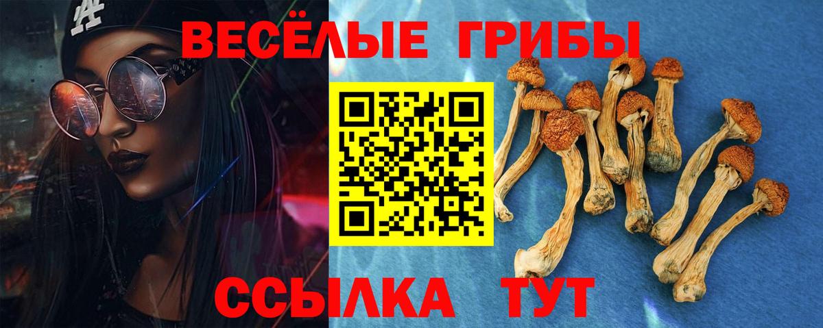 Псилоцибиновые грибы Magic Shrooms Мытищи